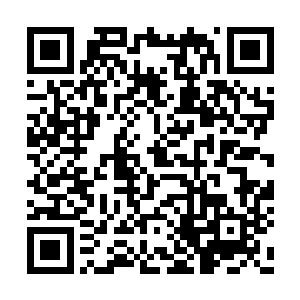 想不到他竟然和第五狱主一样都是天机一族的人二维码生成