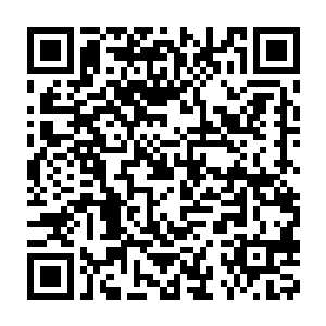 想不到居然在你这样的低阶修士手里重现……不过你还是修为太低二维码生成
