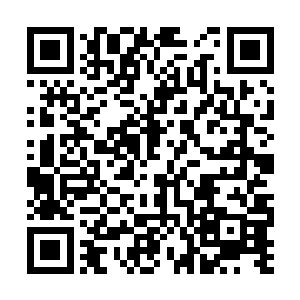 想不到我谢筠居然要跟你这样的蠢猪一起共赴黄泉二维码生成