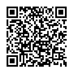 想不到无极门年轻一辈也有你这等天资卓越之辈二维码生成