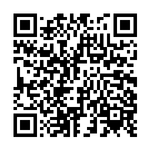 想不到竟然就真的遇到了这么一个可以帮助他的人二维码生成