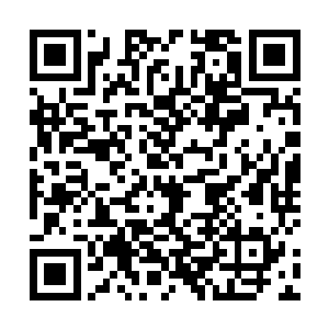 想不到自己和东皇大帝的第一次交手会以这种方式收场二维码生成