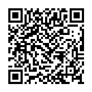想不到连他这修为达到化神中期境界的海族神王二维码生成