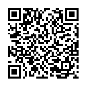 想不想知道生命能量和你的能力结合后能做到什么二维码生成