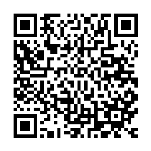 想不拍点照片视频什么的简直对不起他们多次欲求不满的投入二维码生成