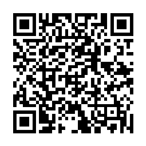 想不通芙蓉仙子怎么会突然出现在了传送仙阵的入口处二维码生成