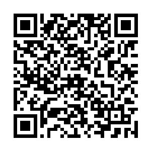 想不通这个少年何时已经会了如此强大的易容之术二维码生成