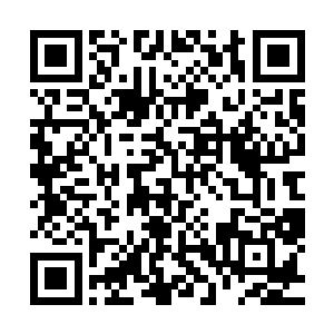 想也不想地就将自己狩猎而来的一只漂亮幼狼朝东方康云丢去二维码生成