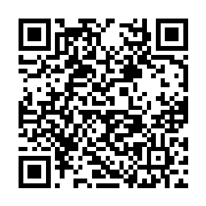 想了想后又给那个宗鹤拳的传人苏小哥去了个电话二维码生成