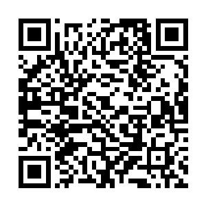 想了想后就对白雁编了个借口说去附近的同学家一趟二维码生成