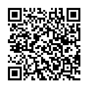 想了想在月城除了芮阁恐怕找不到第二个更有能力的人二维码生成