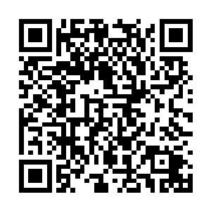 想了想终究还是不忍心转身去厨房做了一些宵夜端二维码生成