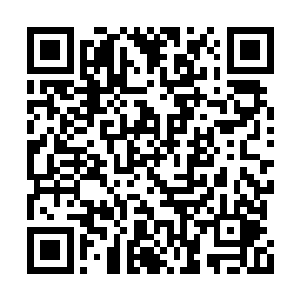 想了想这确实是自己守护此暗面下土的司职所在二维码生成