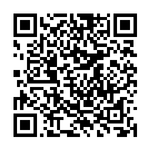 想亲眼看看托尔斯的人是怎么被自己给彻底消灭的二维码生成