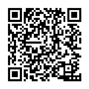 想从这些残缺非常厉害的古物上研究出来什么的可能姓不大二维码生成