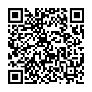 想到两个机器人用一模一样的机械声争执的场面二维码生成