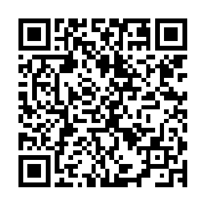 想到了她在生命的最后时刻用冰冷的话语对自己说的那个诅咒二维码生成