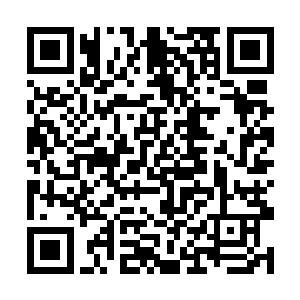 想到了这唯一的一个蛋可能因为赵纯良这一脚而碎了二维码生成