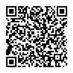 想到了这里贝海就伸手从皮球的嘴边捞了一块鱿鱼脑袋上的肉片儿二维码生成