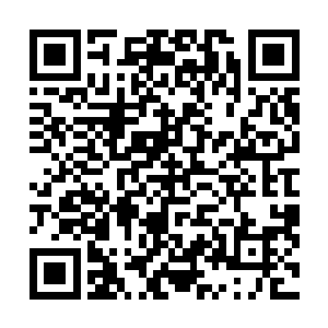 想到了这里贝海觉得自己还是舍不得那一百万美元的奖金二维码生成