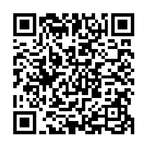 想到他在菩萨门里看到的那些奇珍古玩以及无数医书珍本二维码生成