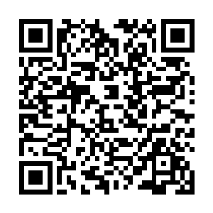 想到叶秋当初救下她们母女的那一夜所展现出来地枪法二维码生成