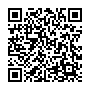 想到在获得千年荒乳的洞窟之内所斩杀的那头奇特的蛮荒巨兽二维码生成