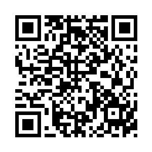 想到大黄的那些无家可归的流浪狗同胞们二维码生成