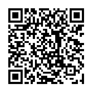 想到她也可能会被调教成同一厂家批量式的侍女模样二维码生成