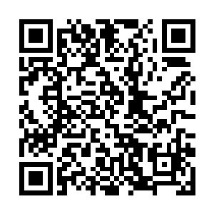 想到如果那些毒针毒刺只要有一根射到自己老爸身上二维码生成