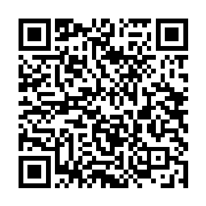 想到差点见不到凌菲见到阿父见不到那些熟悉的面孔二维码生成