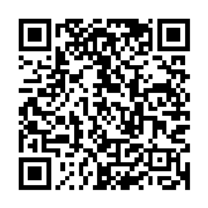 想到已经被禁足――可能一辈子都要被关在佛堂里老死的董姨娘二维码生成