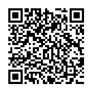 想到敌人冲过来瞬间龙野用身体保护了她以及对她说的那句话二维码生成