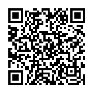 想到曾经身为一名高手的唐父如今居然变成这般模样二维码生成