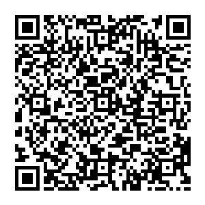 想到有一天自己也和死胖子巴利一样站在教室窗户面前和一排人对着黛娜老师做着同样的手动式单缸活塞运动二维码生成