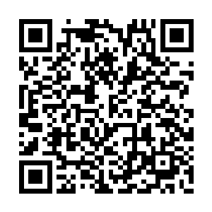 想到自己这张英俊的脸被叶凡打成了猪头的情景二维码生成