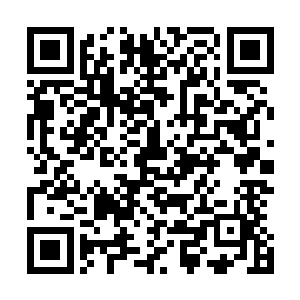 想到这段时间和她父亲骆欢合作的房地产项目已经在开工了二维码生成