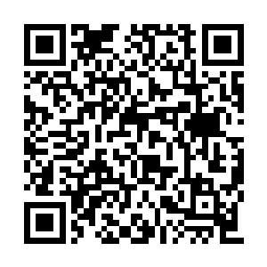 想到这短短的时间内直接或者间接被他弄死的人二维码生成