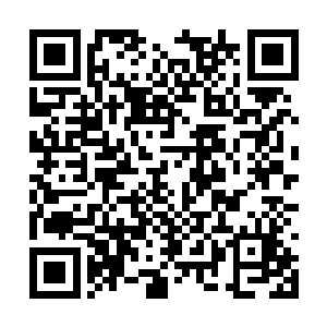 想到这苏家当初家境那般困难都没有卖掉这些翡翠二维码生成