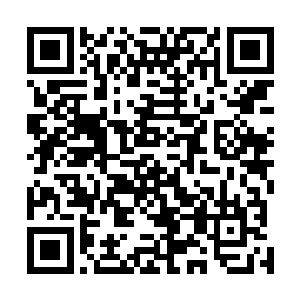 想到这里东方浩然便打算将龙王带到东方世家之中闯一闯二维码生成