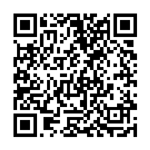 想到那些牵魂引只是长生以前在我身上设来保护我的二维码生成