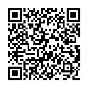 想到那天南宫大人干脆利落的拗断分堂主的脖子二维码生成