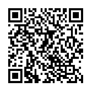 想到那天这个家伙和那只铁喙鹮在飞艇的气囊上拼命的样子二维码生成