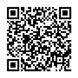 想到那晚自己很无耻的将人家的凤幽花占为己有二维码生成