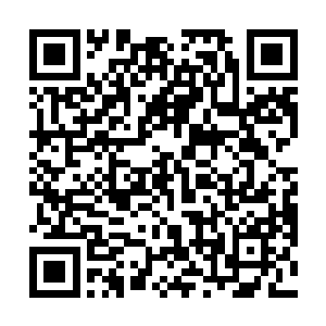 想到长生的黑蛇从姚老道体内吸出连我都看不见的黑气二维码生成