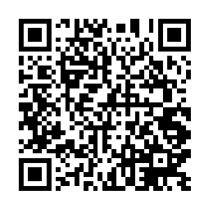 想到雷家要面临一个圣域四重天一个五品宗门的刁难二维码生成