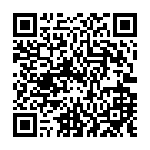 想到黑铁之堡内那片光秃秃的土地和自己种下的玉米和土豆二维码生成