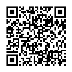 想办法接触一下计算机大赛主办方组委会的成员二维码生成