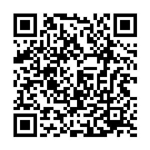 想和她打一场是因为她限制海飞蓝在小学毕业之前的绑定二维码生成