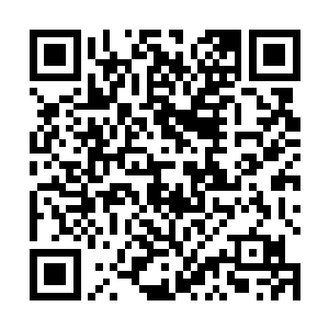 想在半刻之内利用金焰火威将其打穿那是不可能的事情二维码生成